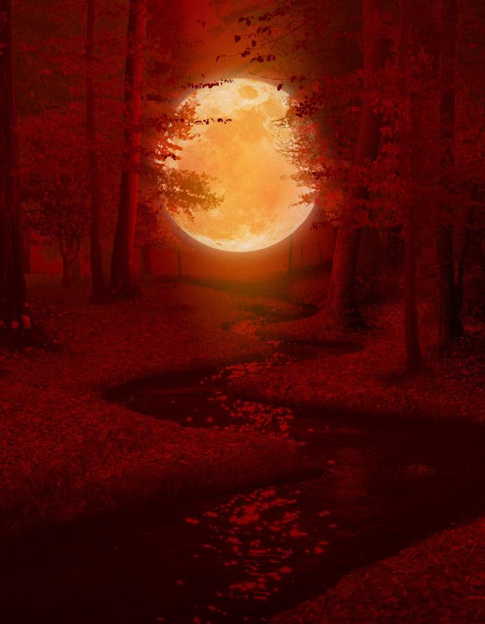Blood wedding