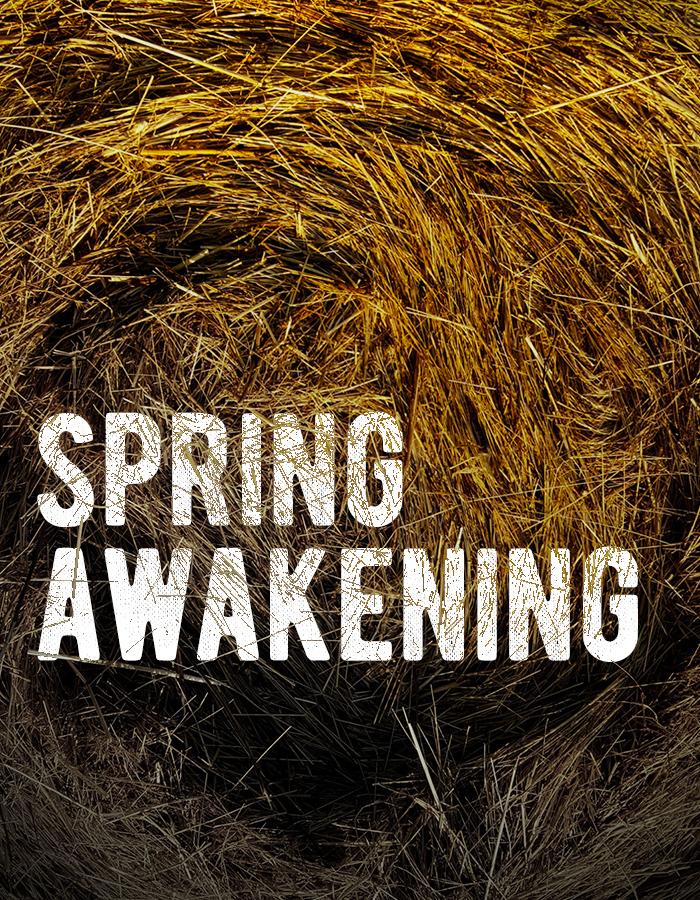The title 'SPRING AWAKENING' sits in a pile of golden hay. There is a faint indent in the hay suggesting it has recently been disturbed, and the title is partially obscured by the scattering of straw. Sunlight shines brightly on the way towards the top of the image, which gets much darker and more shadowy towards the bottom. 