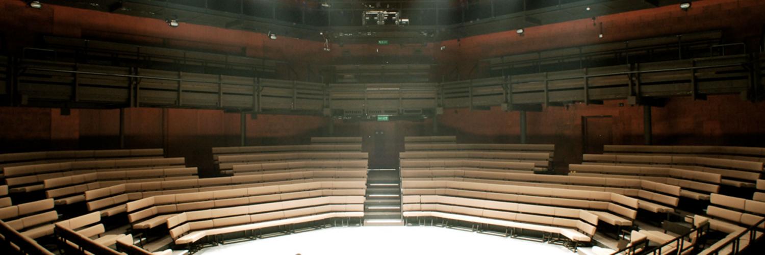 Young Vic auditorium